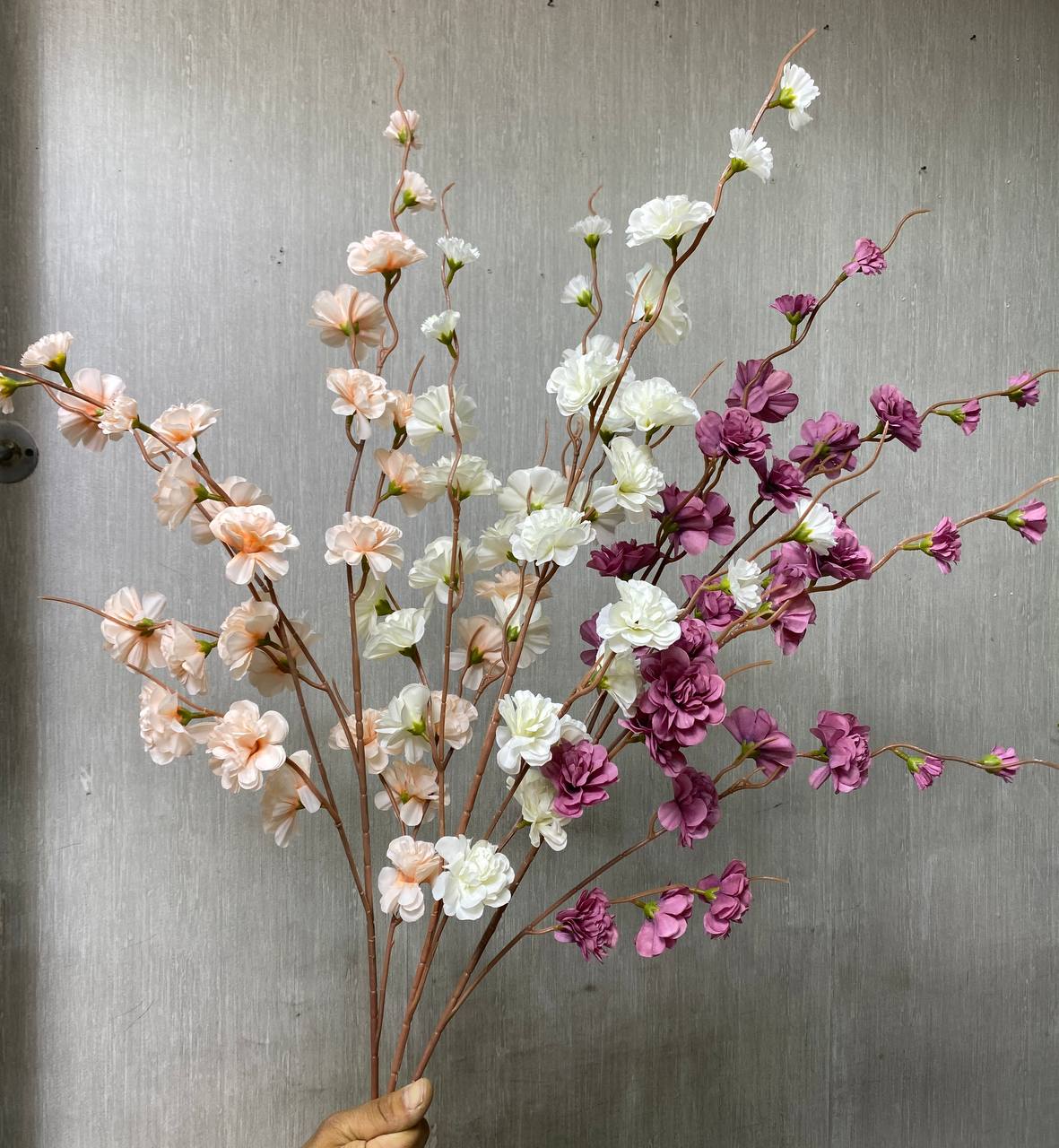 شاخه شکوفه طبیعی میخک